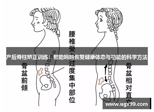 产后脊柱矫正训练：帮助妈妈恢复健康体态与功能的科学方法